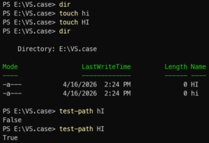 Case sensitive git worktrees on Windows